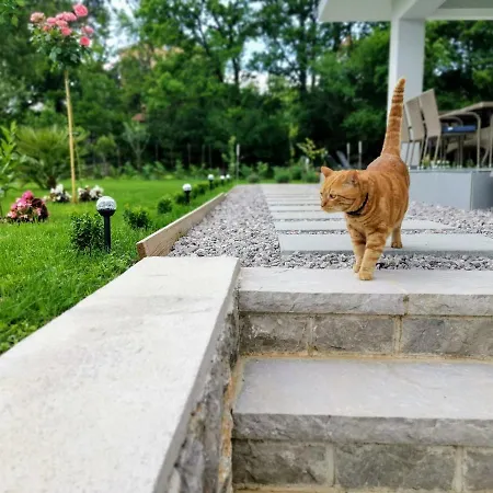 Residences By Zec Apartment Kastav